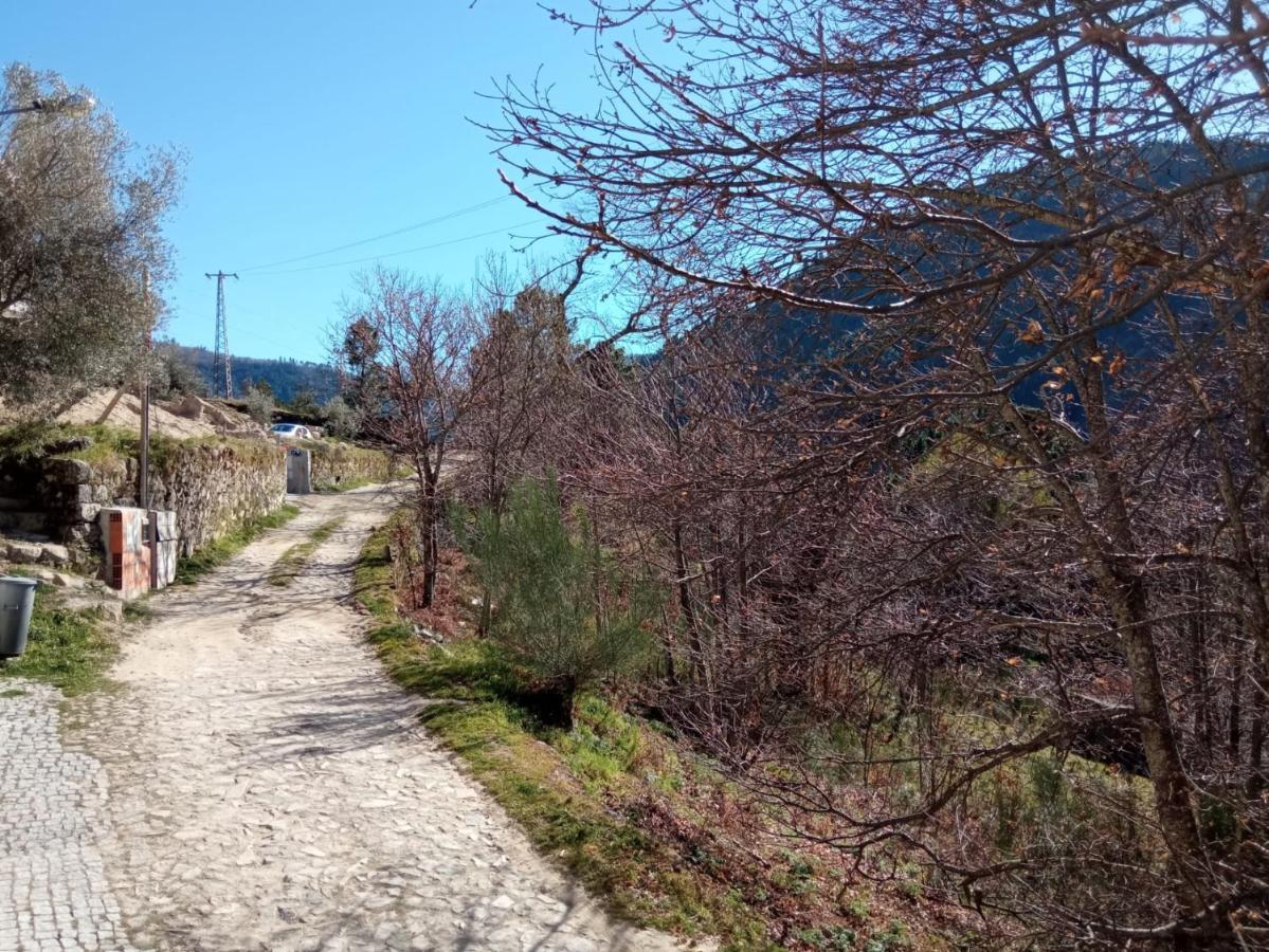 Casa Das Oliveiras - Manteigas Eksteriør billede