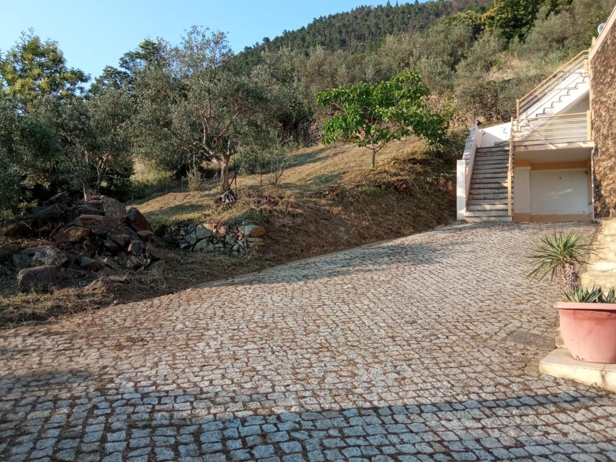 Casa Das Oliveiras - Manteigas Eksteriør billede