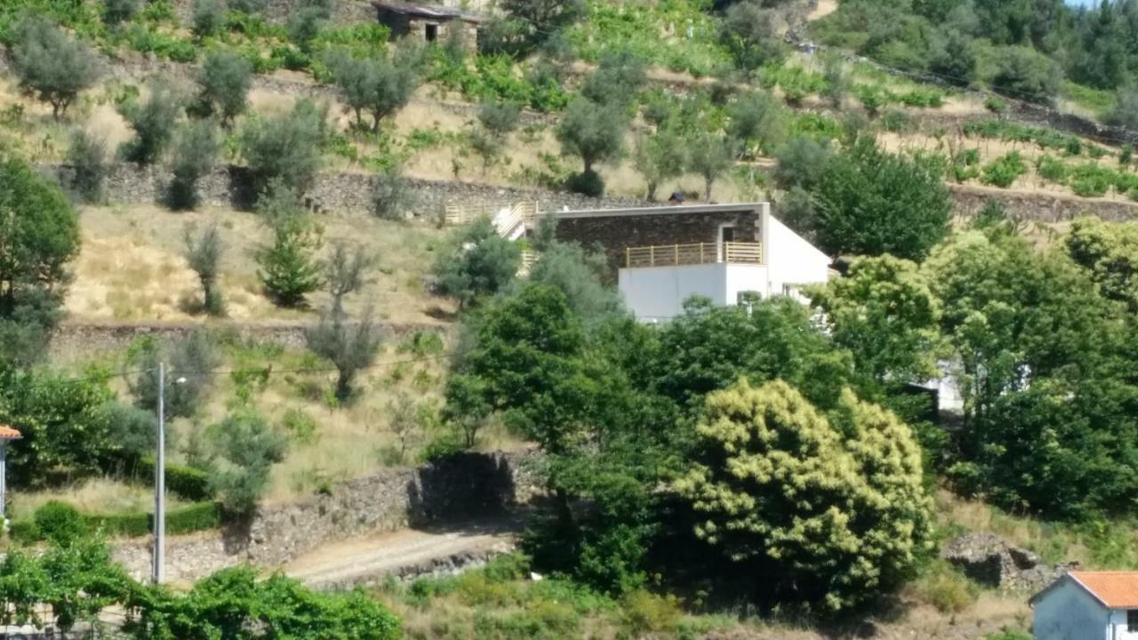 Casa Das Oliveiras - Manteigas Eksteriør billede